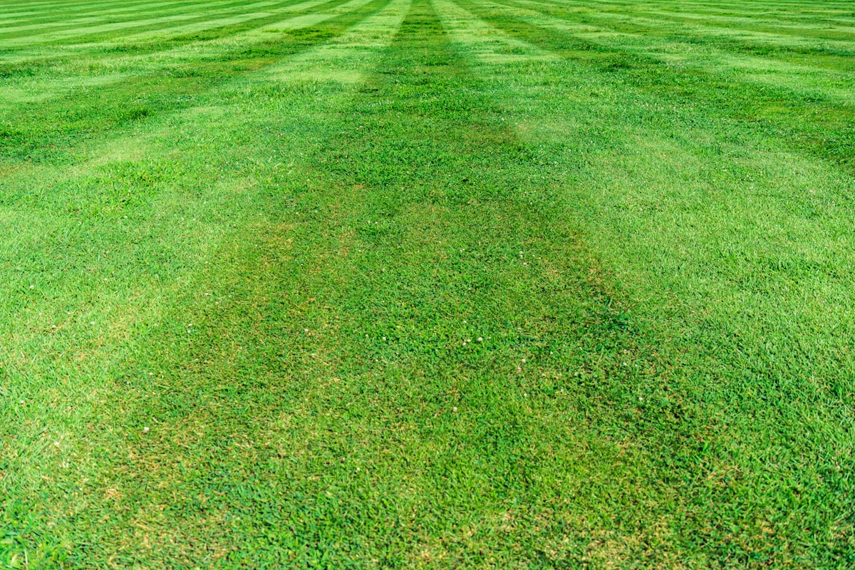 Lawn Care